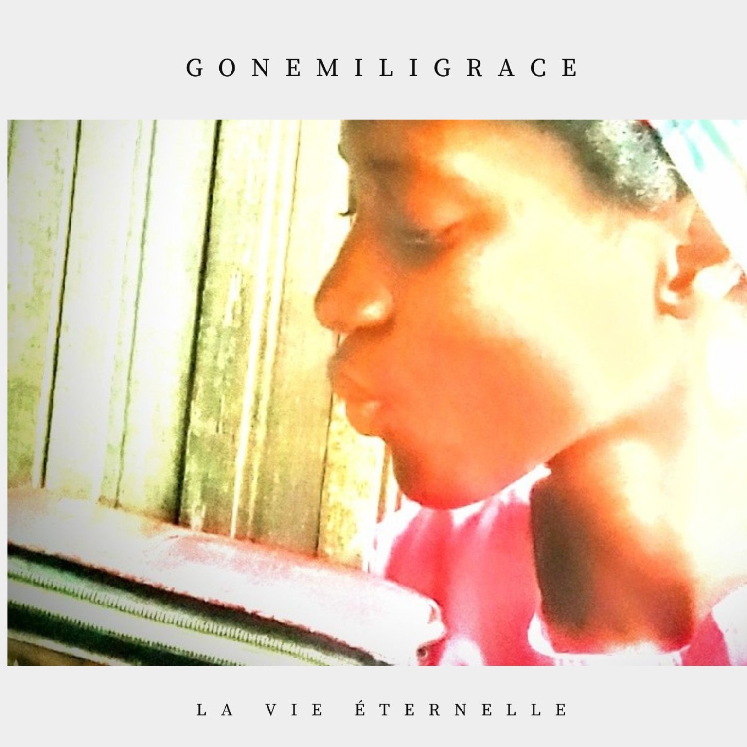 Pochette La vie éternelle