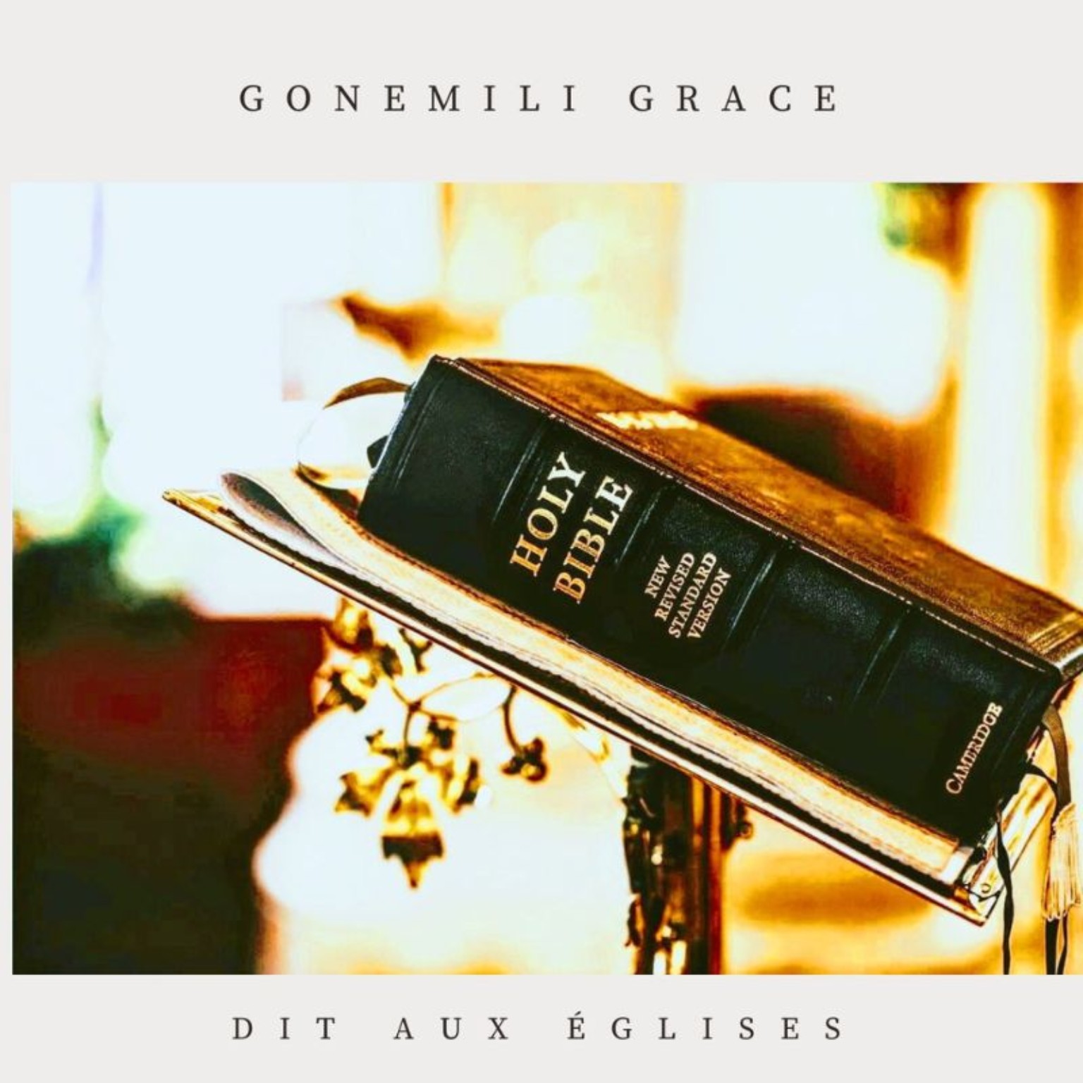 Pochette Dit aux églises